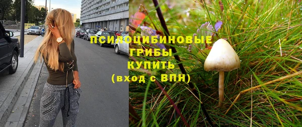 кокс Ладушкин