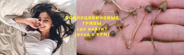 трава Алзамай