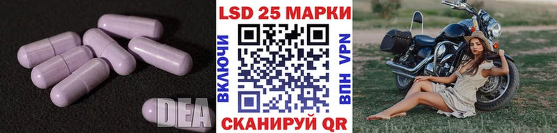 где можно купить Белгород Лсд 25 экстази ecstasy
