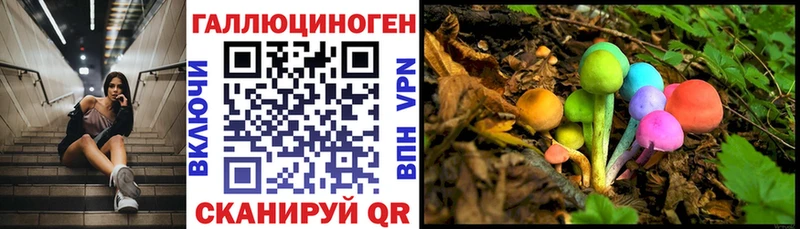 Галлюциногенные грибы Psilocybine cubensis  Белгород 